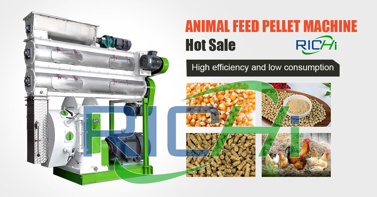 poultry feed pellet machine