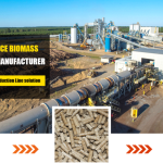 Top 10 Best Biomass Pellet Production Lines In Global