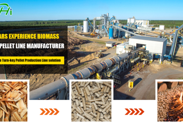 Top 10 Best Biomass Pellet Production Lines In Global