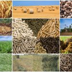 Types Of Agri Pellet