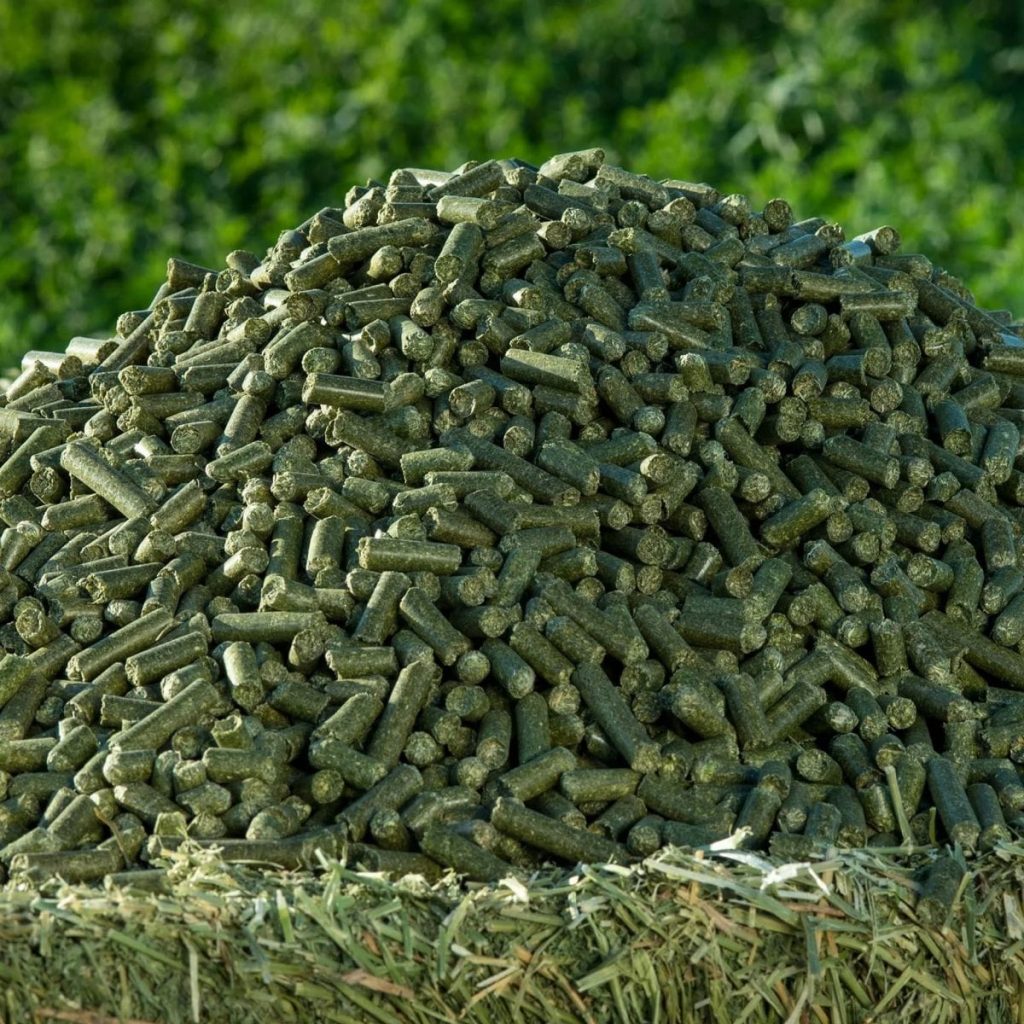 grass pellets